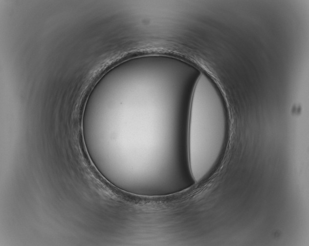 X0000113280673200909140942