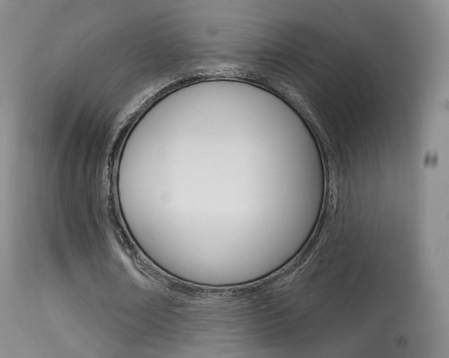 X0000113280674200909140942