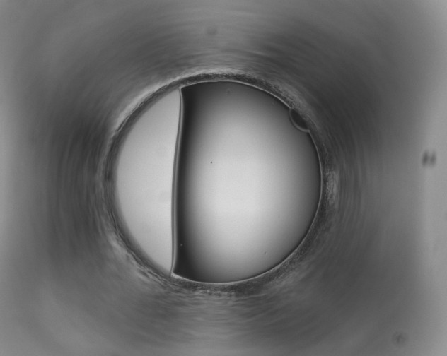 X0000113280676200909140941
