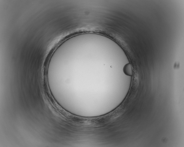 X0000113280678200909140941