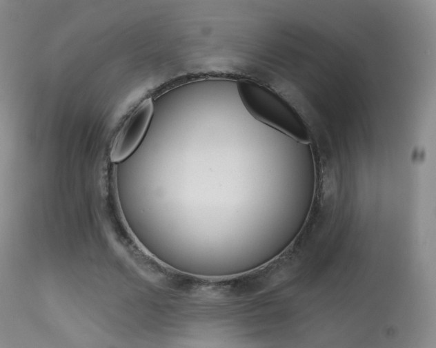 X0000113280680200909140941