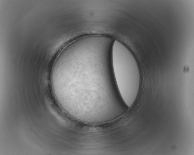 X0000113280683200909140941
