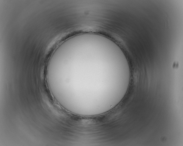 X0000113280686200909140941