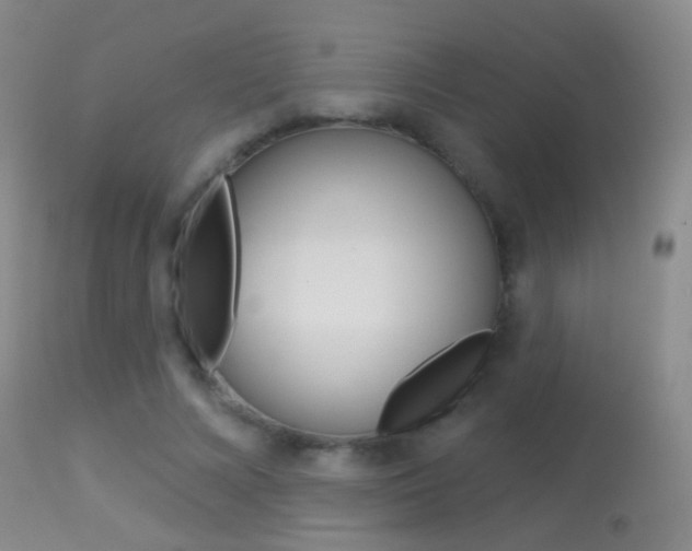 X0000113280688200909140941