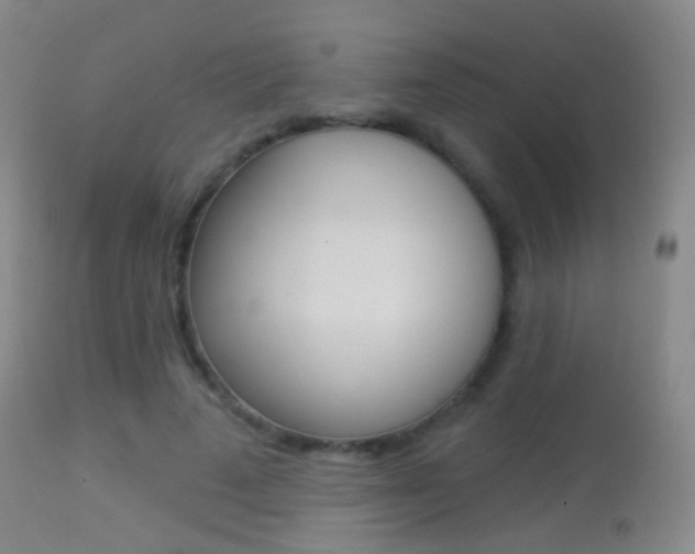 X0000113280689200909140941