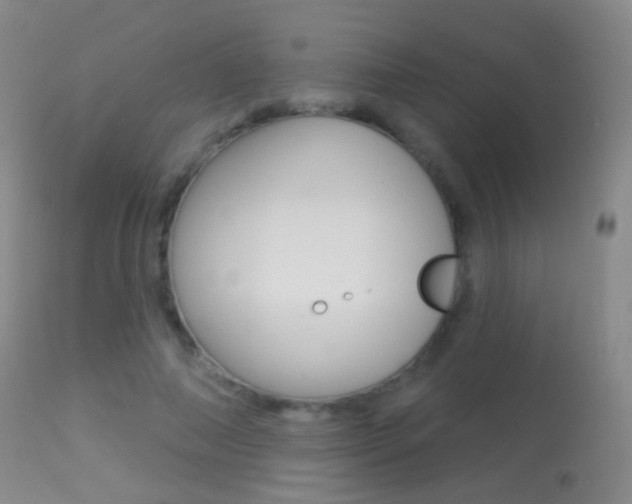 X0000113280690200909140941