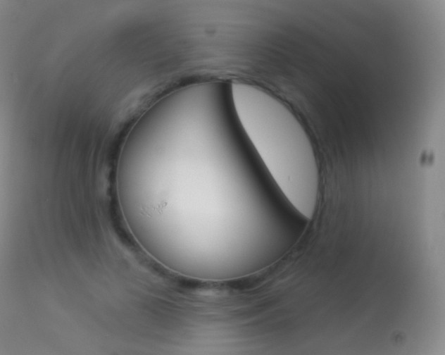 X0000113280693200909140941