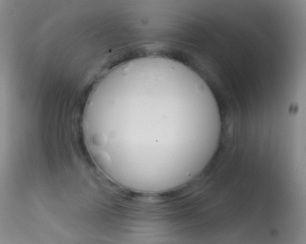 X0000113280698200909140941
