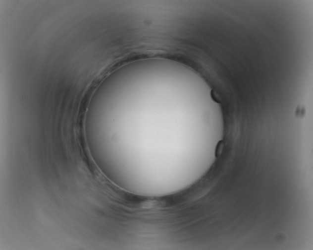 X0000113280700200909140941