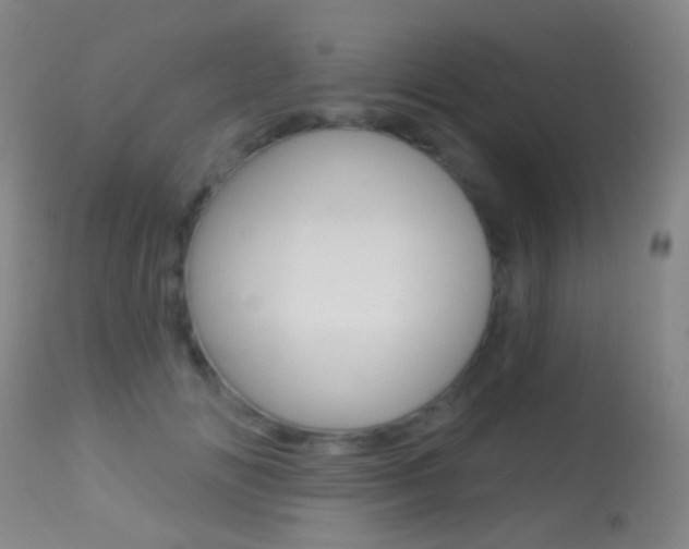 X0000113280702200909140941