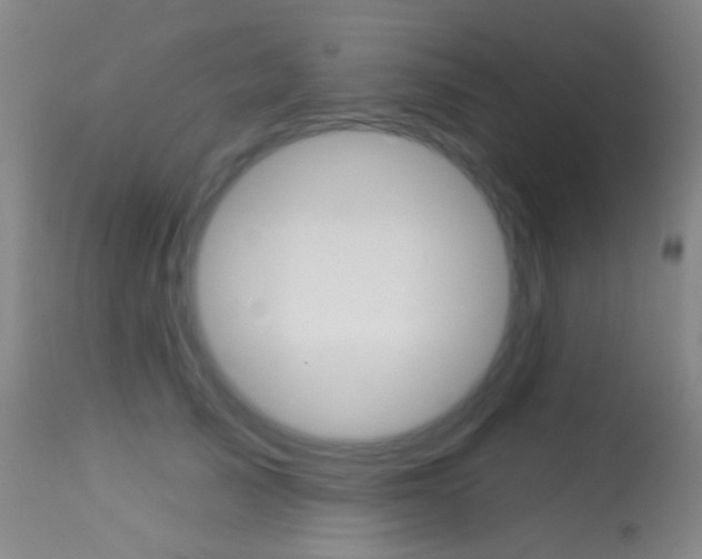X0000113280705200909140941