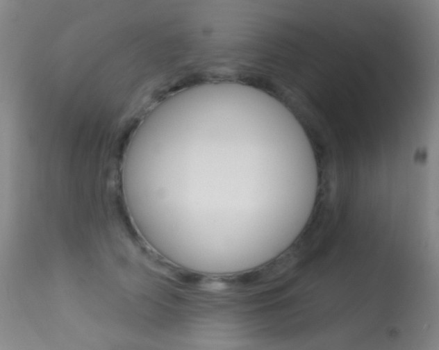 X0000113280706200909140941