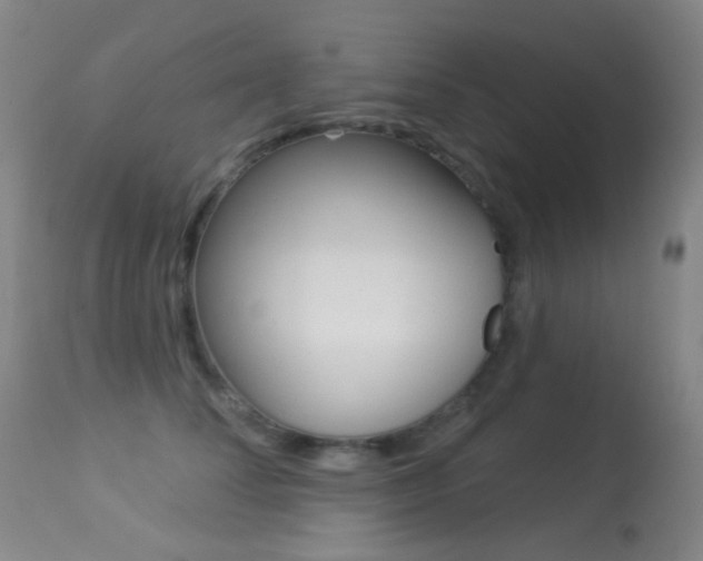 X0000113280708200909140941