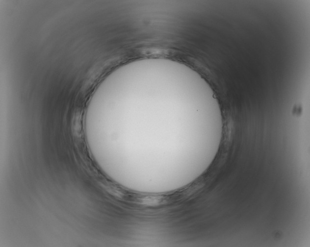 X0000113280709200909140941