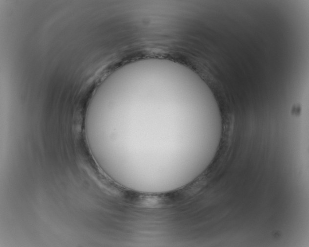 X0000113280710200909140941