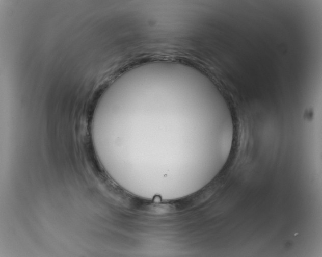 X0000113280711200909140941