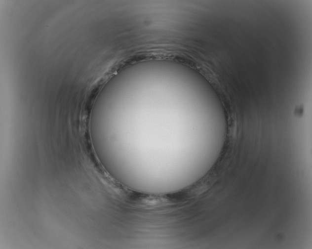 X0000113280712200909140941