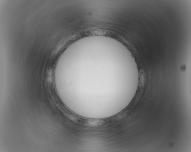 X0000113280713200909140941