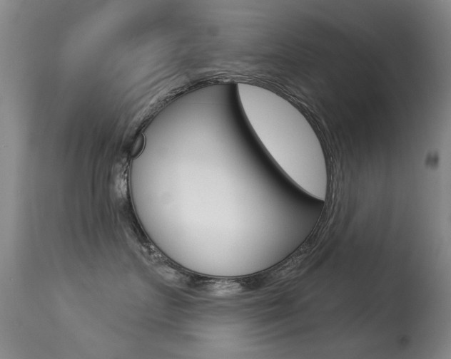 X0000113280719200909140941