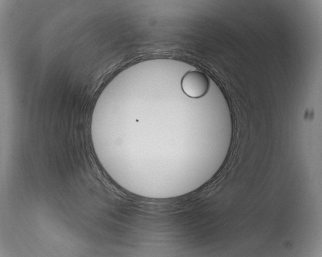X0000113280720200909140941