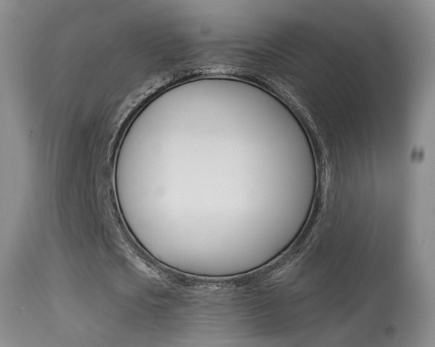X0000113280721200909140940