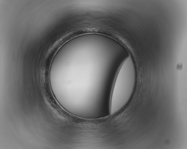 X0000113280722200909140940
