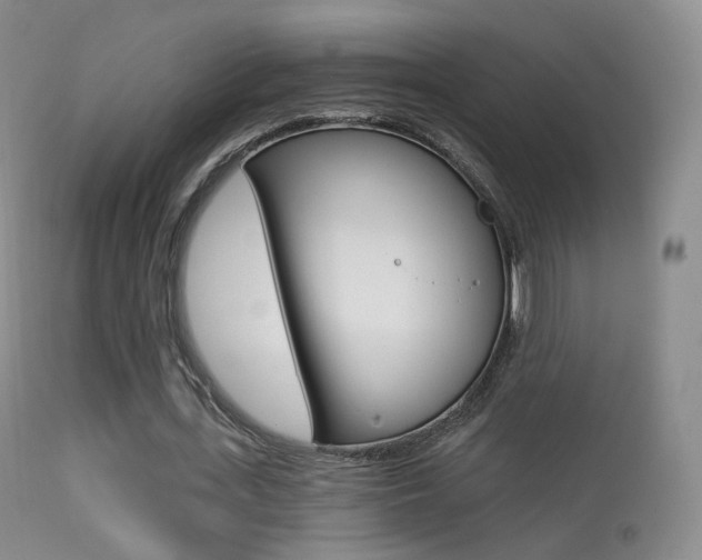 X0000113280723200909140940