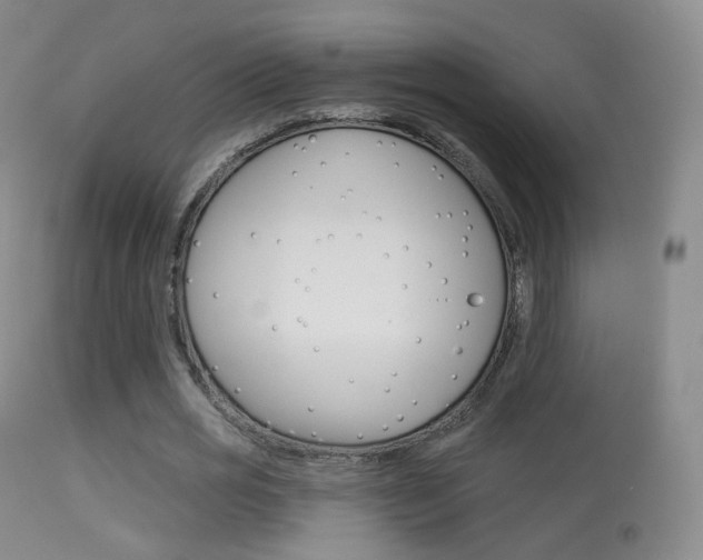 X0000113280725200909140940