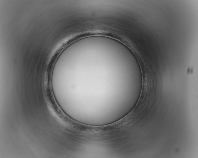X0000113280726200909140940