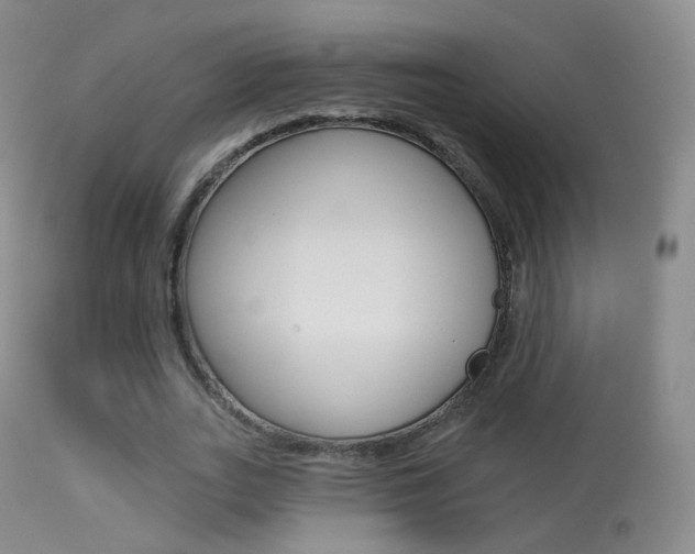 X0000113280727200909140940