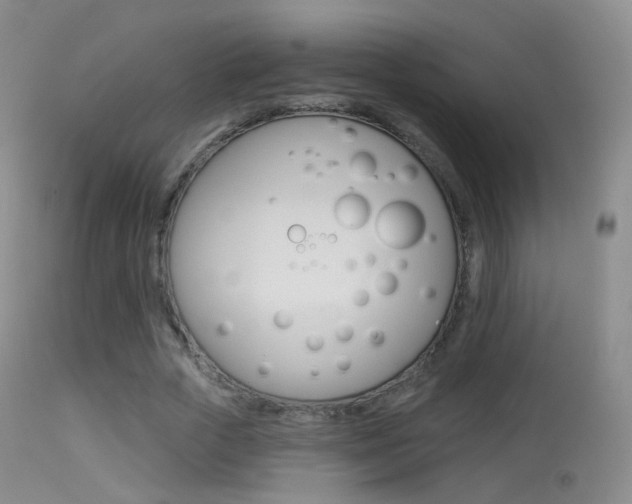 X0000113280729200909140940