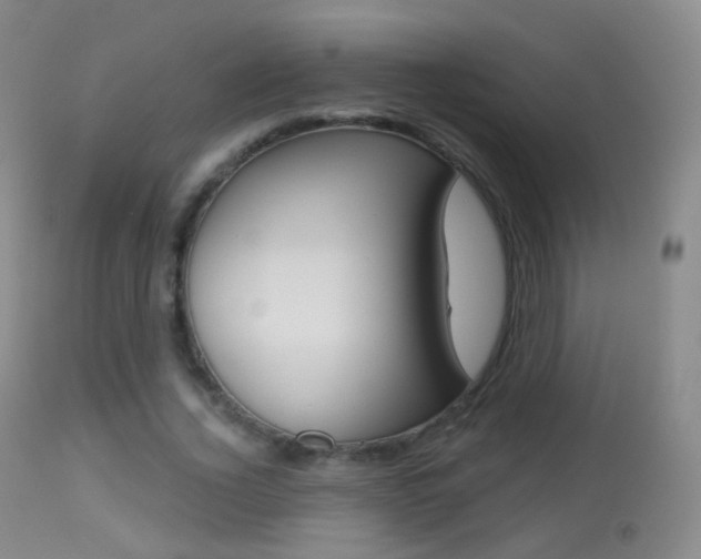 X0000113280732200909140940