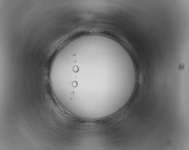 X0000113280733200909140940