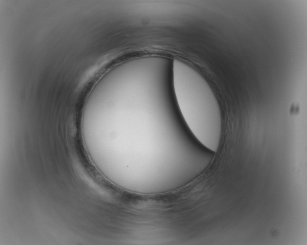 X0000113280734200909140940