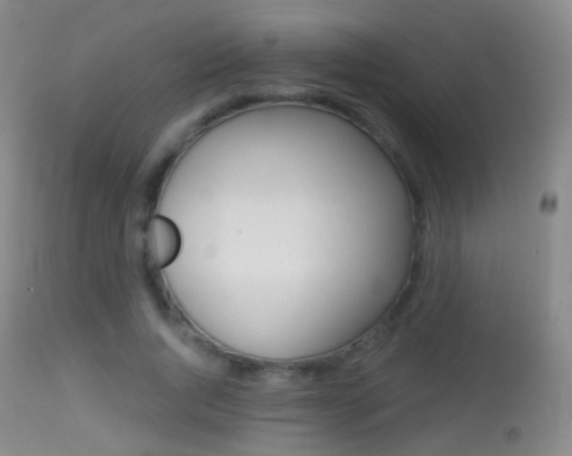 X0000113280736200909140940