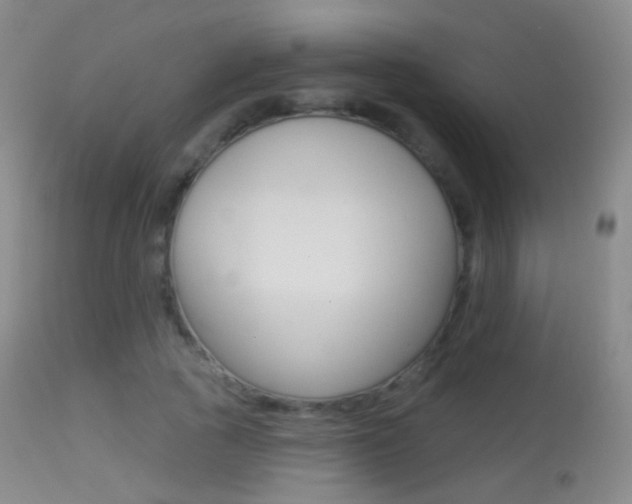 X0000113280737200909140940