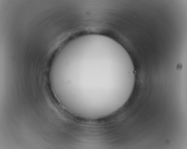 X0000113280738200909140940
