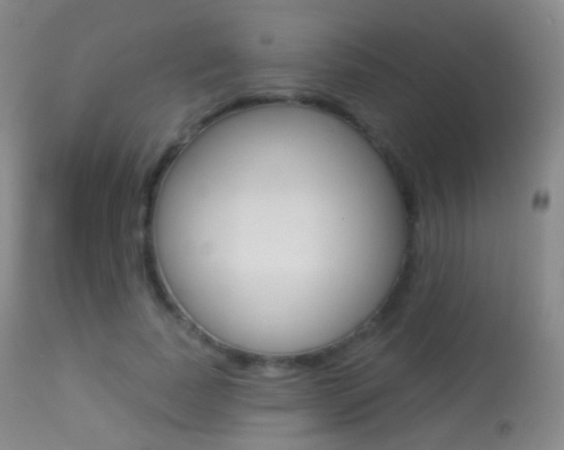 X0000113280739200909140940