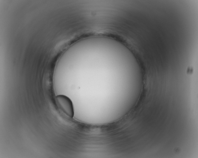 X0000113280740200909140940