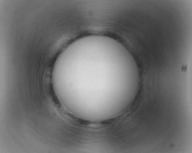 X0000113280744200909140940