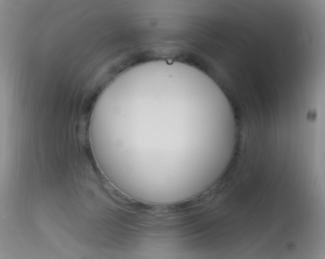 X0000113280745200909140940