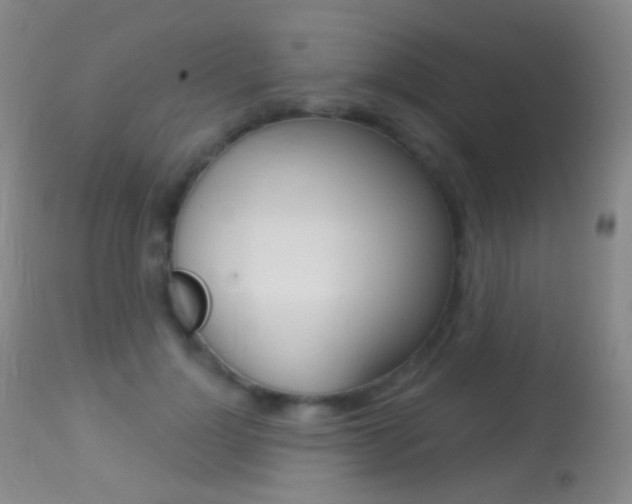 X0000113280748200909140941