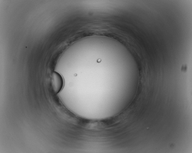 X0000113280752200909140941