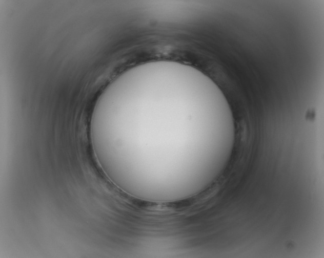 X0000113280754200909140941