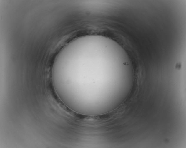 X0000113280756200909140941