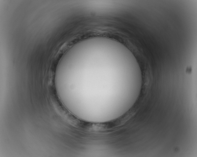 X0000113280758200909140941