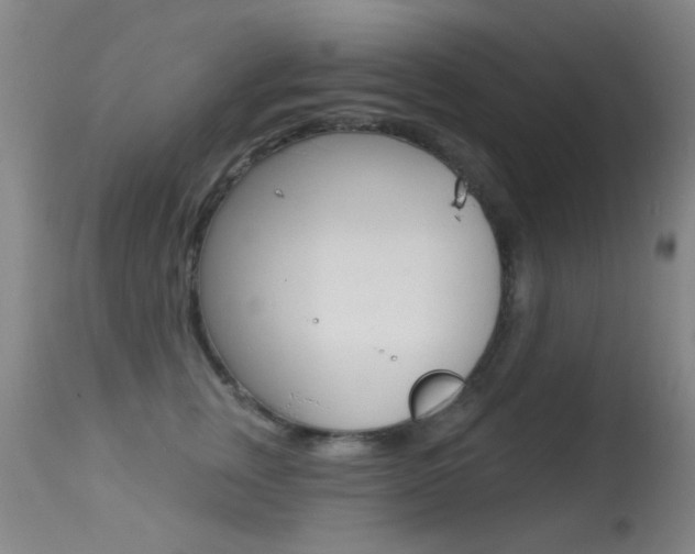X0000113280759200909140941
