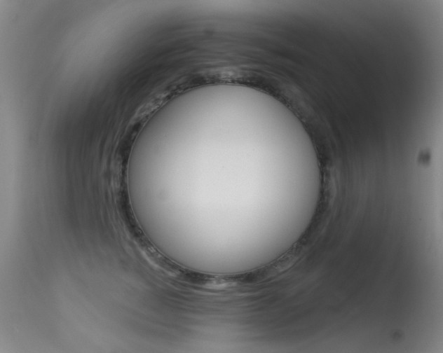 X0000113280760200909140941