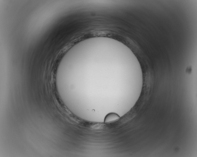 X0000113280761200909140941