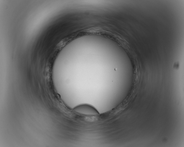 X0000113280762200909140941